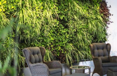 Обустройство помещений декоративными растениями